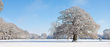 汉堡主场失利，排名继续下滑