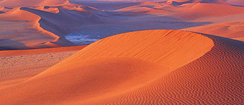 非洲足球冠军杯决赛开幕式盛大举行，多支球队士气高昂